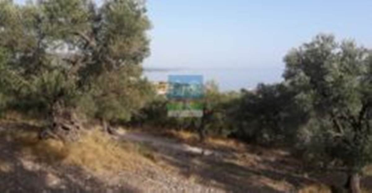 Λέσβος, Πάμφιλα. Πώληση Οικοπέδου 4.000 Μ2.