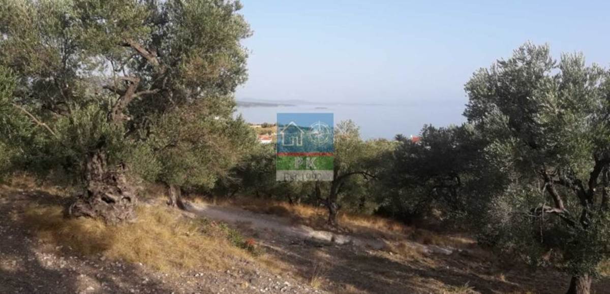 Λέσβος, Πάμφιλα. Πώληση Οικοπέδου 4.000 Μ2.