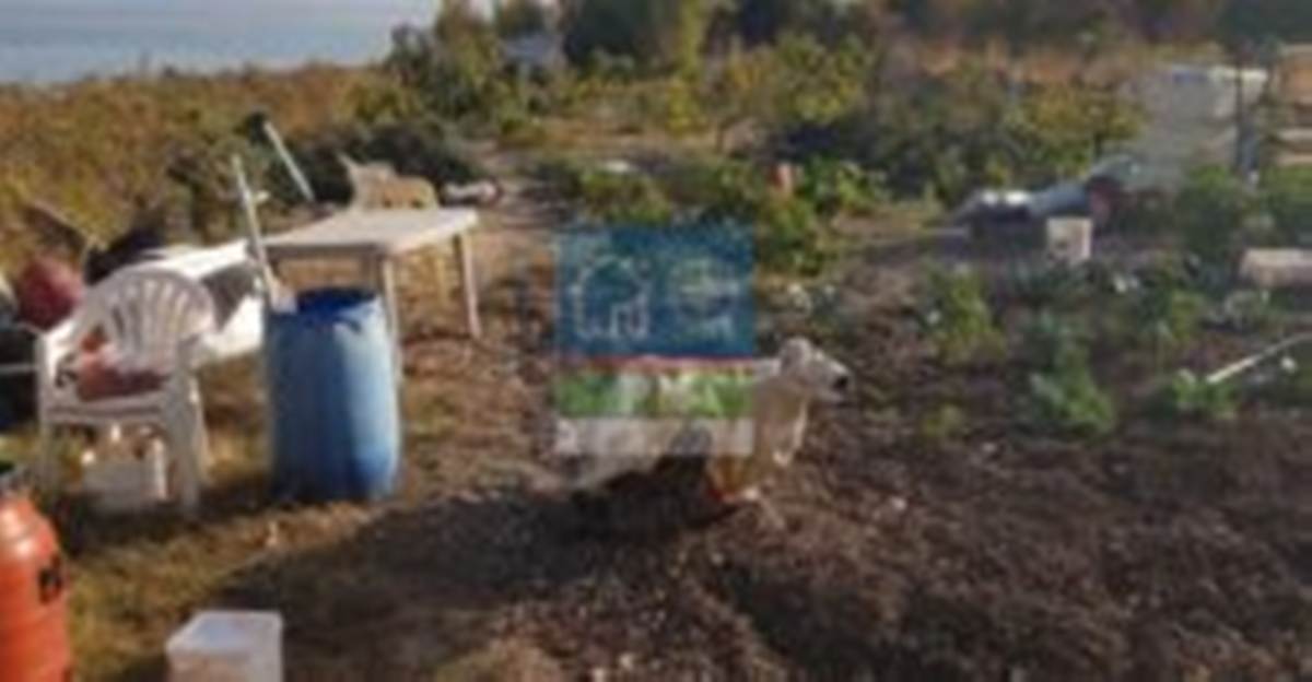 Λέσβος, Πάμφιλα. Πώληση Οικοπέδου 7.500 Μ2.