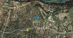 Λέσβος, Πάμφιλα. Πώληση Οικοπέδου 4.000 Μ2.