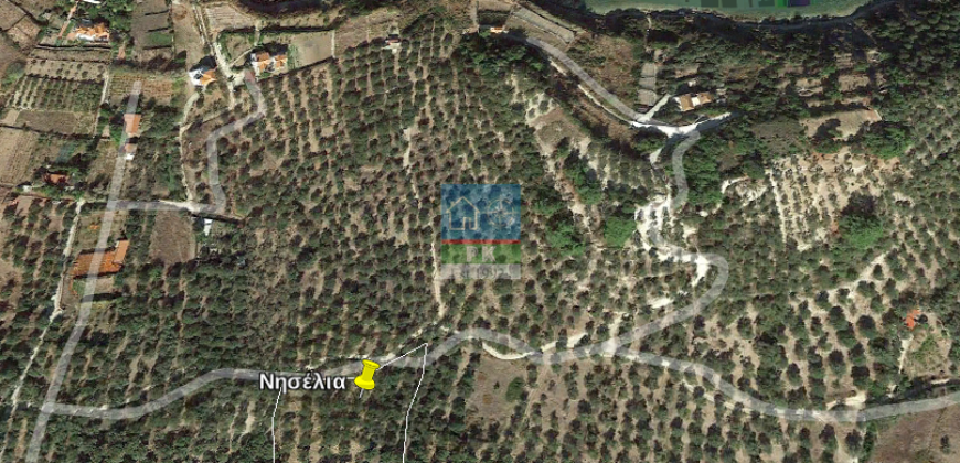 Λέσβος, Πάμφιλα. Πώληση Οικοπέδου 4.000 Μ2.