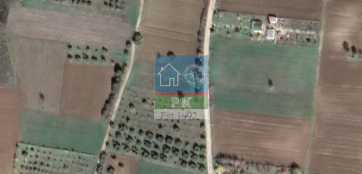 Αλεξ/πολη, Άβαντας. Πώληση Αγροτεμαχίου 1.500 Μ2.