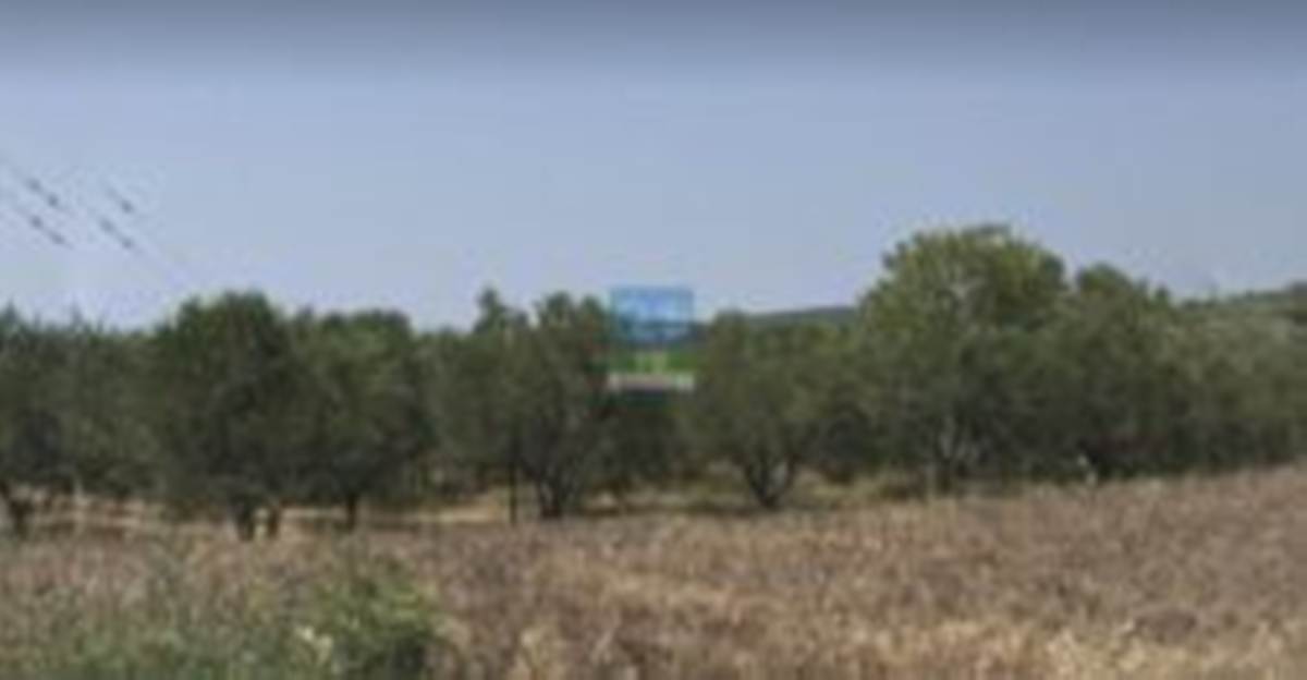 Αλεξ/πολη, Άβαντας. Πώληση Αγροτεμαχίου 1.500 Μ2.