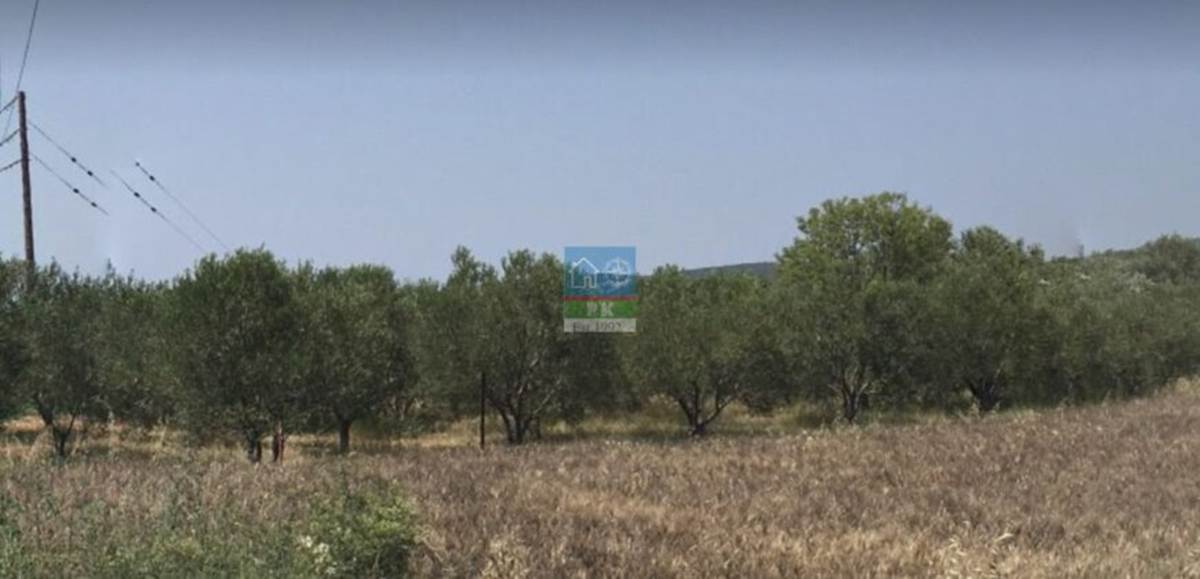 Αλεξ/πολη, Άβαντας. Πώληση Αγροτεμαχίου 1.500 Μ2.