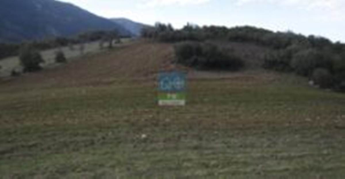 Δελφίνο Φθιώτιδας. Πώληση 2 αγροτεμαχίων με συνολικό εμβαδό 19.695 Μ2.