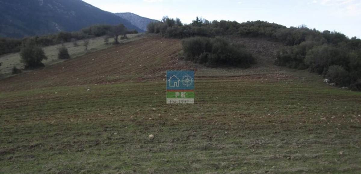 Δελφίνο Φθιώτιδας. Πώληση 2 αγροτεμαχίων με συνολικό εμβαδό 19.695 Μ2.