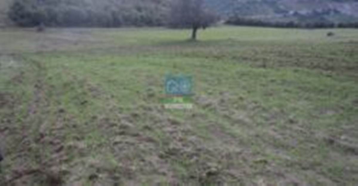 Δελφίνο Φθιώτιδας. Πώληση 2 αγροτεμαχίων με συνολικό εμβαδό 19.695 Μ2.