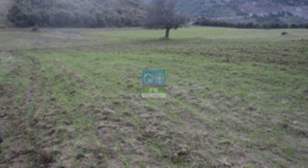 Δελφίνο Φθιώτιδας. Πώληση 2 αγροτεμαχίων με συνολικό εμβαδό 19.695 Μ2.