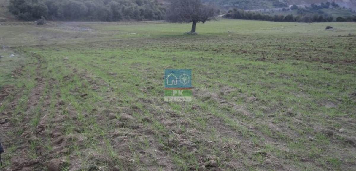 Δελφίνο Φθιώτιδας. Πώληση 2 αγροτεμαχίων με συνολικό εμβαδό 19.695 Μ2.