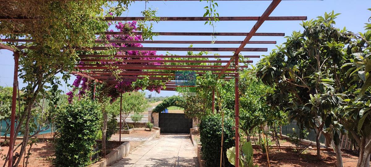 Μαραθώνας, Σχοινιάς. Πώληση Μονοκατοικίας 360 Μ2.