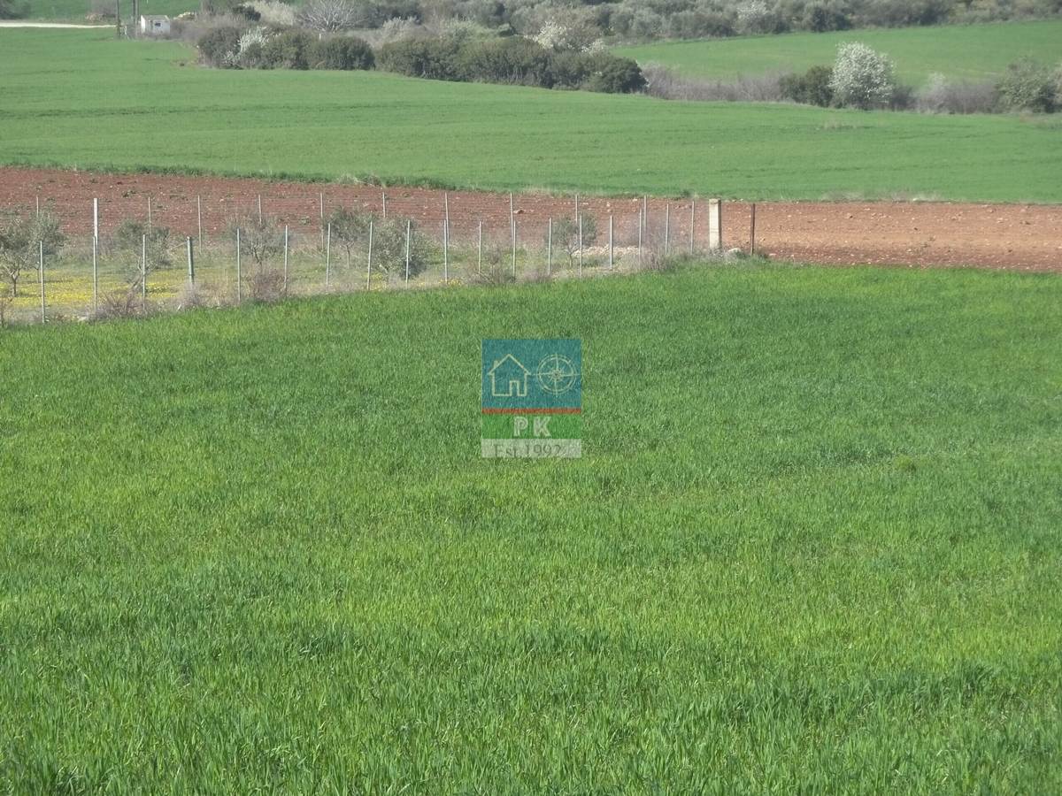 Αλεξ/πολη. Χιλή. Πώληση Αγροτεμαχίου 5.500 Μ2.
