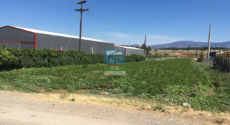 Εύβοια, Νέα Αρτάκη. Πώληση οικοπέδου 7.500 Μ2.