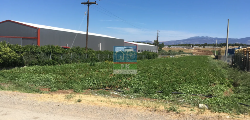 Εύβοια, Νέα Αρτάκη. Πώληση οικοπέδου 7.500 Μ2.