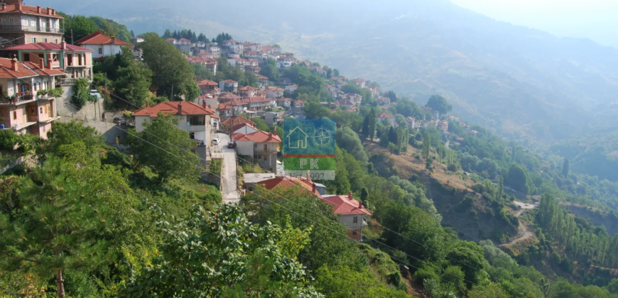 Μέτσοβο. Πώληση οικοπέδου 2.000 Μ2.