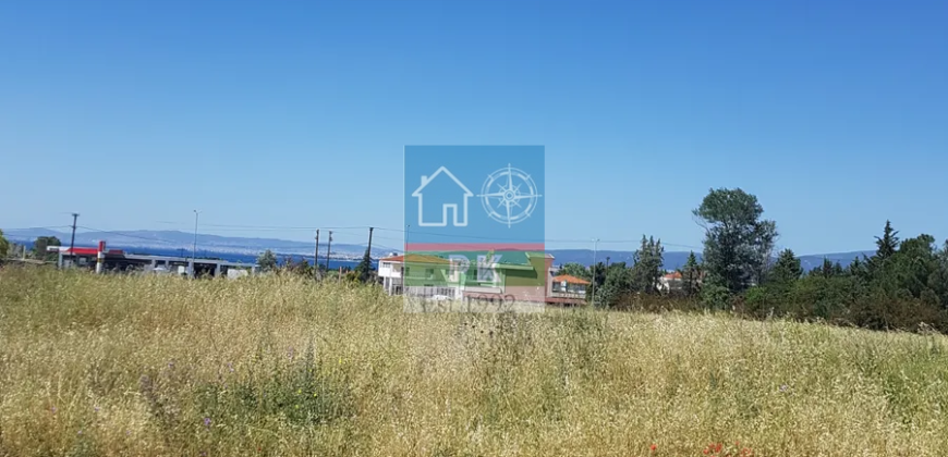 Θεσ/νικη, Πλαγιάρι. Πώληση Αγροτεμαχίου 3.000 Μ2.