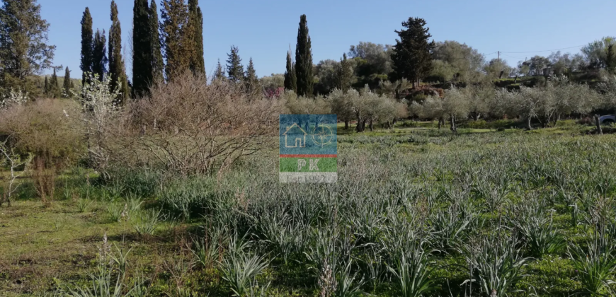 Κέρκυρα. Πώληση Οικοπέδου 13.000 Μ2.