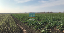 Ξάνθη Λεύκη. Πώληση Αγροτεμαχίου 33.294 Μ2.