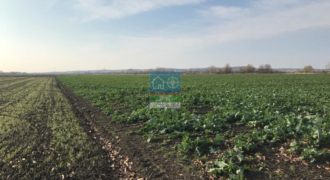 Ξάνθη Λεύκη. Πώληση Αγροτεμαχίου 33.294 Μ2.