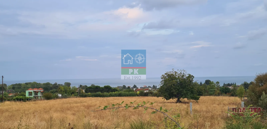 Λεπτοκαρυά, Πιερία. Πώληση Οικοπέδου 4.000 Μ2.