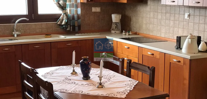 Διδ/χο, Ελληνοχώρι. Πώληση Βίλας 293 Μ2.