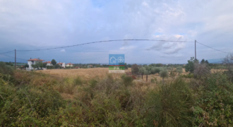 Λεπτοκαρυά, Πιερία. Πώληση Οικοπέδου 4.000 Μ2.