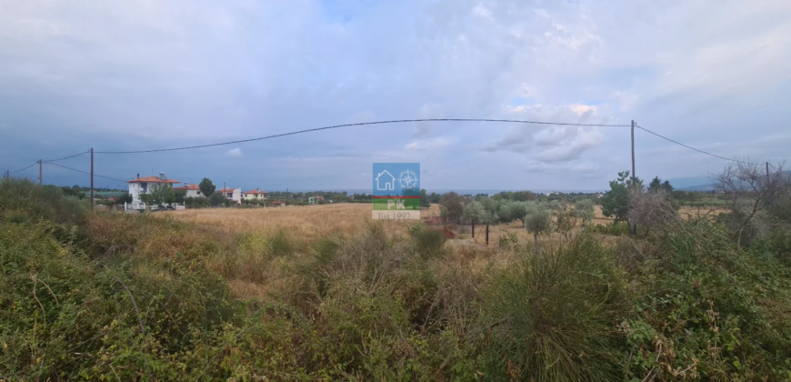 Λεπτοκαρυά, Πιερία. Πώληση Οικοπέδου 4.000 Μ2.