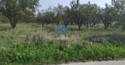 Θεσ/νικη, Ταγαράδες. Πώληση Αγροτεμαχίου 4.000 Μ2.