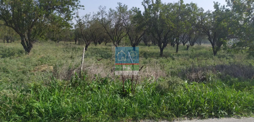 Θεσ/νικη, Ταγαράδες. Πώληση Αγροτεμαχίου 4.000 Μ2.