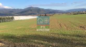 Σουρωτή Θεσ/νικη. Πώληση Αγροτεμαχίου 15.800 Μ2.