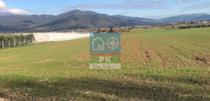 Σουρωτή Θεσ/νικη. Πώληση Αγροτεμαχίου 15.800 Μ2.