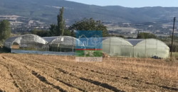 Θεσ/νικη, Βασιλικά, Σουρωτή. Πώληση Αγροτεμαχίου 24.500 Μ2.