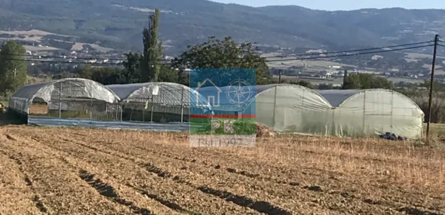 Θεσ/νικη, Βασιλικά, Σουρωτή. Πώληση Αγροτεμαχίου 24.500 Μ2.