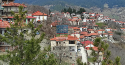 Μέτσοβο. Πώληση οικοπέδου 2.000 Μ2.