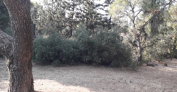 Αθήνα, Καστρί. Πώληση Οικοπέδου 2.894 Μ2.