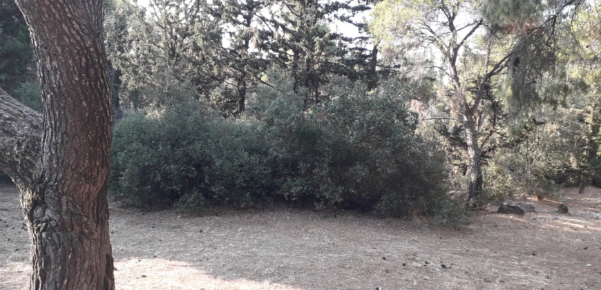 Αθήνα, Καστρί. Πώληση Οικοπέδου 2.894 Μ2.