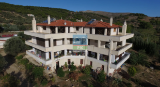 Κουβαράς Αττικής. Πωληση Κτιρίου Διαμερισμάτων 1.250 Μ2.