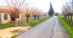 Τρίπολη. Πώληση Αγροτεμαχίου 10.000 Μ2.