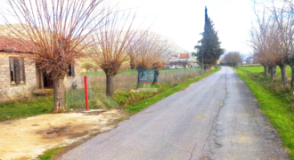 Τρίπολη. Πώληση Αγροτεμαχίου 10.000 Μ2.