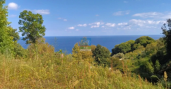 Βόλος. Αγ. Ιωάννης. Πώληση Αγροτεμαχίου 5.432 Μ2.