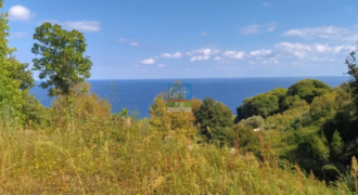 Βόλος. Αγ. Ιωάννης. Πώληση Αγροτεμαχίου 5.432 Μ2.