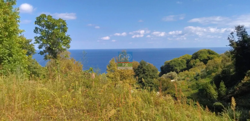 Βόλος. Αγ. Ιωάννης. Πώληση Αγροτεμαχίου 5.432 Μ2.