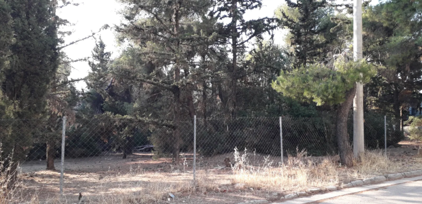 Αθήνα, Καστρί. Πώληση Οικοπέδου 2.894 Μ2.