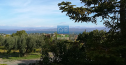 Δήλεσι Βοιωτίας. Πώληση Μονοκατοικίας 180 Μ2.