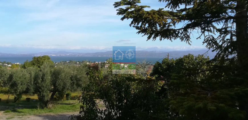 Δήλεσι Βοιωτίας. Πώληση Μονοκατοικίας 180 Μ2.