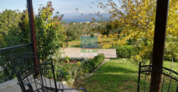 Δήλεσι Βοιωτίας. Πώληση Μονοκατοικίας 180 Μ2.