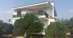 Πάτρα, Μεσσατίδα Οβρυά Αχαΐας. Πώληση Μεζονετας 239 Μ2.