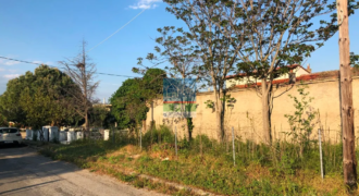 Φέρες. Πώληση Οικοπέδου 483 Μ2.