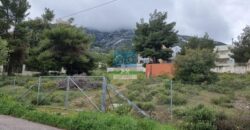 Αθήνα, Διόνυσος. Πώληση Οικοπέδου 1.600 Μ2.