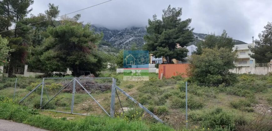 Αθήνα, Διόνυσος. Πώληση Οικοπέδου 1.600 Μ2.