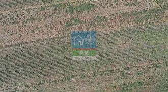 Φέρες Μοναστηράκι. Πώληση Αγροτεμαχίου 20.000 Μ2.